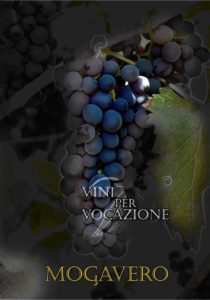 Mogavero salice salentino